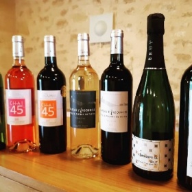 illustration : Wine tours & tastings by appointement & direct sales